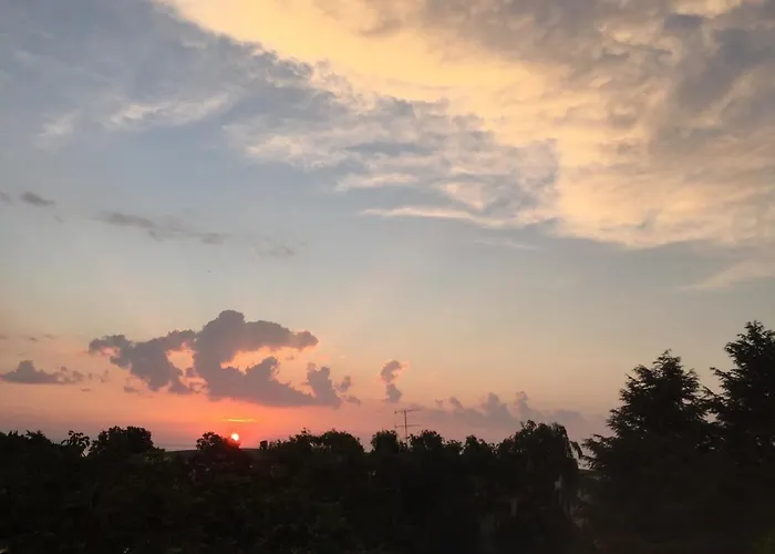 Surf House Rose I Po3a L