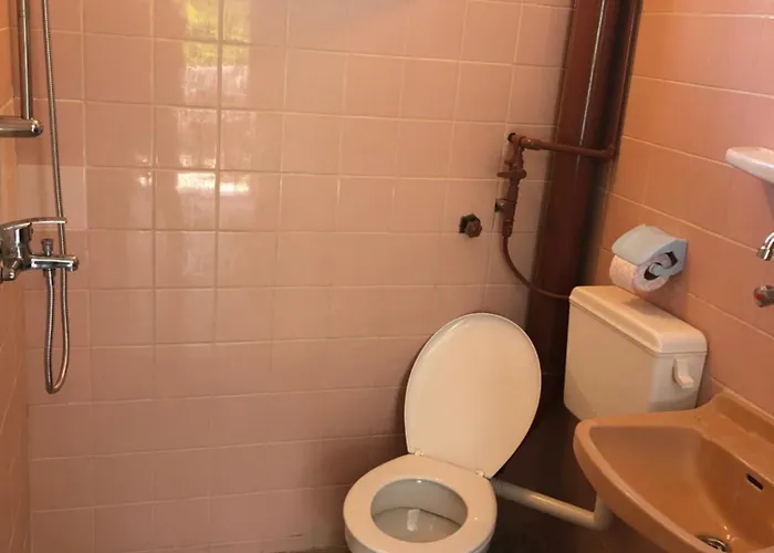Guest house Surf House Rose I Po3a L 3*