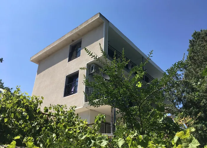 Guest house Surf House Rose I Po3a L 3*