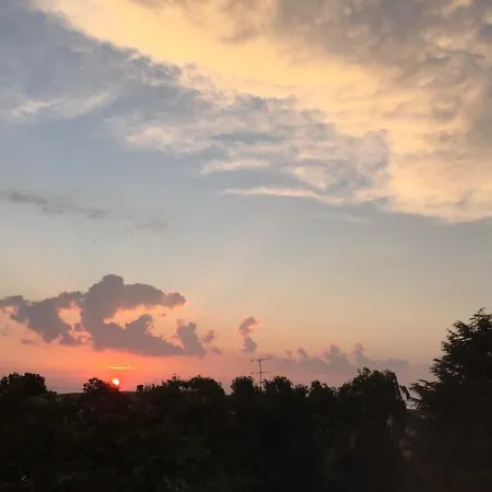 Surf House Rose I Po3a L