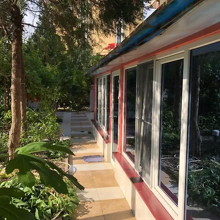 Penzion Surf House Rose I Po3a L Zlate písky