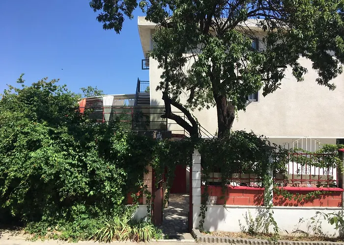 Gasthuis Surf House Rose I Po3a L 3*